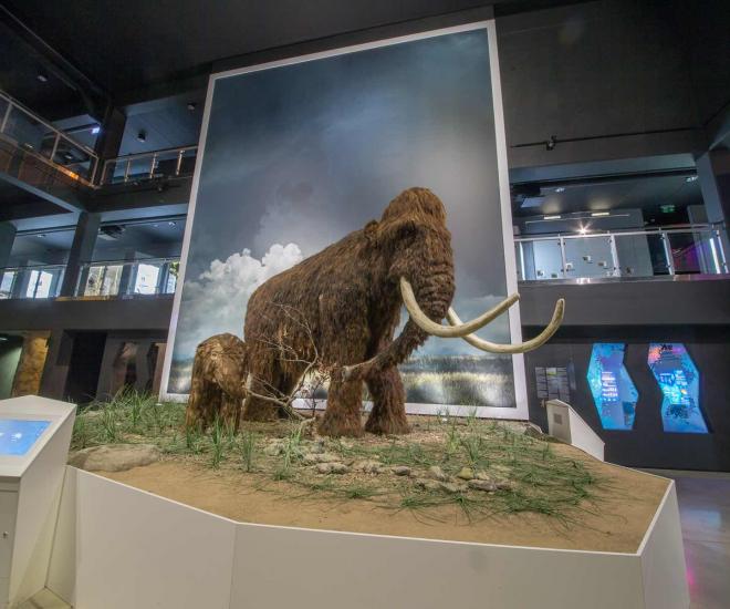 Ice Age Mammoth